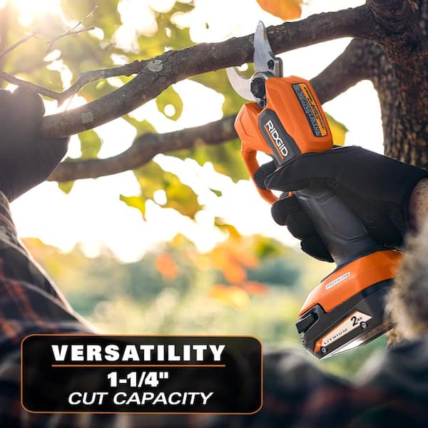 Black & Decker 8 in. 20V Cordless MAX Lithium-Ion Pole Pruning Saw Kit  (1.5Ah Battery and Charger Included) at Tractor Supply Co.