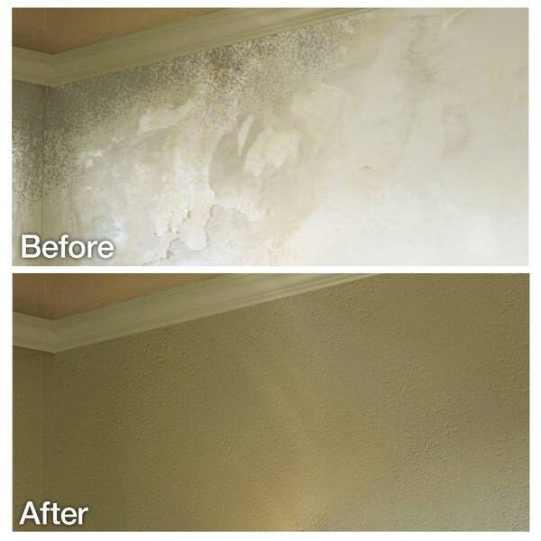 Homax Pro Grade 25 Oz Dual Control Orange L Quick Dry Oil Based Wall Spray Texture 4555 The Home Depot - Wall Texture Types Home Depot Homax Pro Grade 25 Oz Dual Control Orange L Quick Dry Oil Based Wall Spray Texture 4555 The Home Depot - Wall Texture Types Home Depot