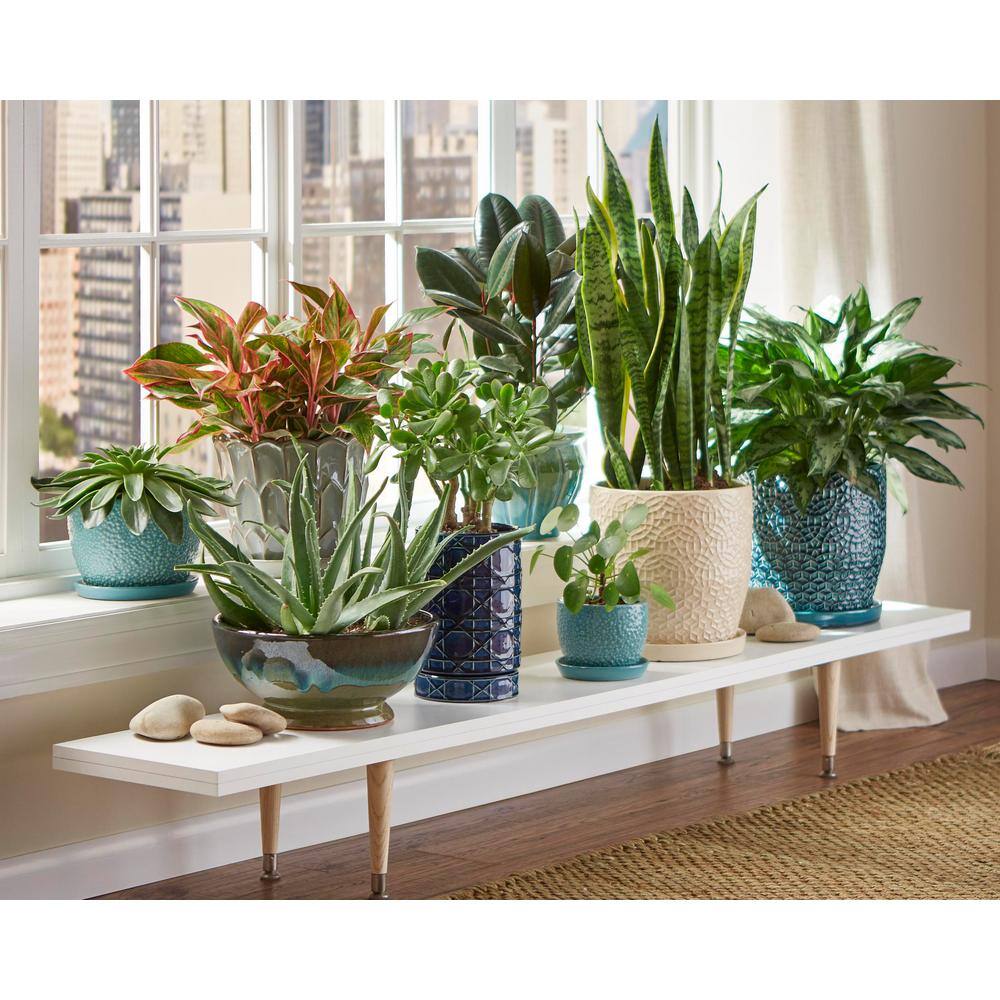 Rivage 10" Round Blue Glazed Ceramic Indoor Planter with Drainage