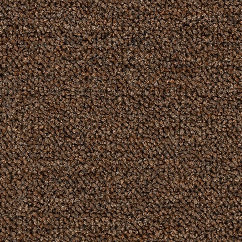 8 in. x 8 in. Loop Carpet Sample - Main Rail 26 -Color Hopsack price history on PriceWatchPro