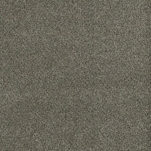 Soft Breath Plus I - Arcadia Brown - 40 oz. SD Polyester Texture Installed Carpet