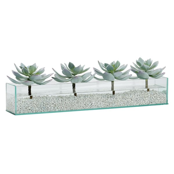 D&W Silks Indoor Artificial Succulents In Rectangle Aquarium Glass