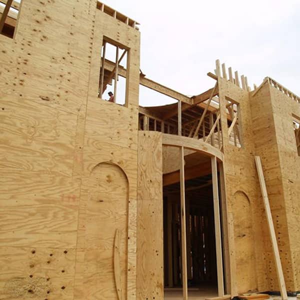 ♡ 　no2 Plytanium 23/32 in. x 4 ft. x 8 ft. RTD Sheathing Syp 157946