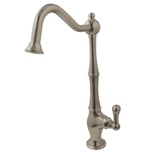 Replacement Drinking Water Single-Handle Beverage Faucet in Brushed Nickel for Filtration Systems