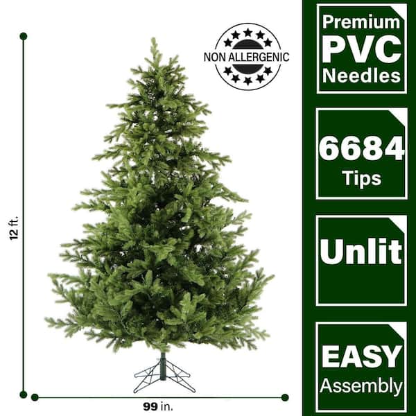 Fresh Fraser Fir Christmas Tree – Moscarillo's Garden Shoppe