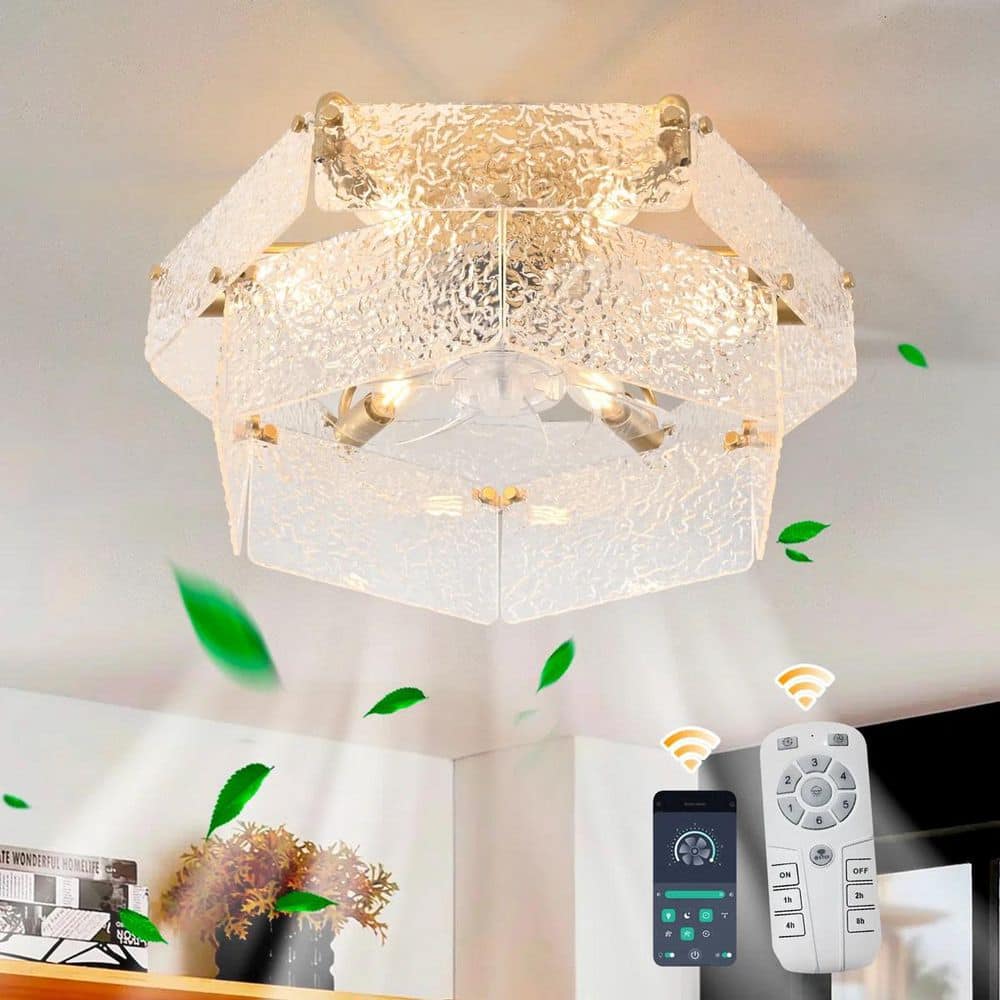 20 in. Gold Caged Reversible Timer Low Profile Flush Mount Ceiling Fan with Light Kit and Remote Included for Kitchen price history on PriceWatchPro