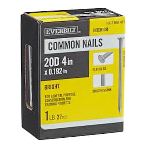 4 in. x 20D Bright Common Nails 1 lb. (27-Count)