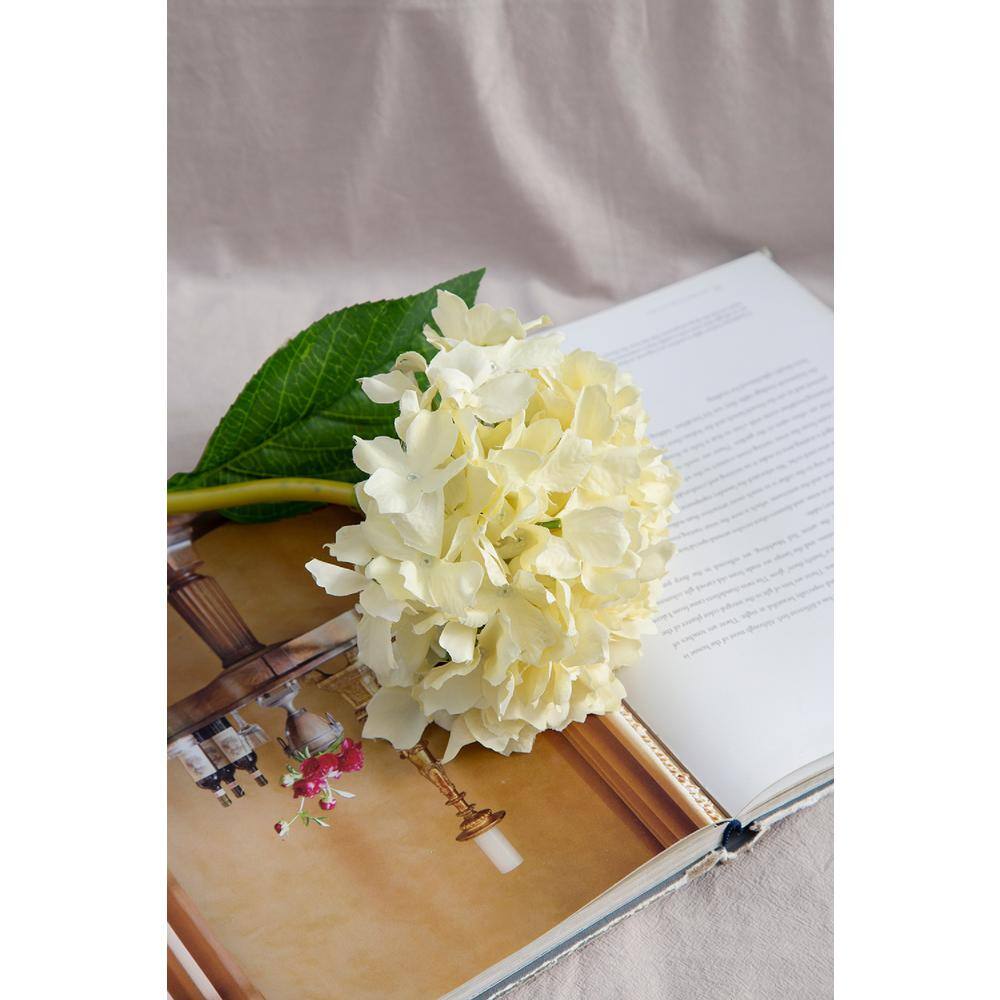 34" Cream Faux Hydrangea Stems with Leaves - Set of 12