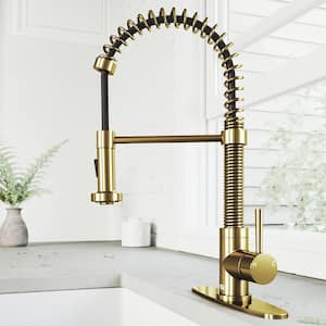 Edison Single Handle Pull-Down Sprayer Kitchen Faucet Set with Deck Plate in Matte Brushed Gold