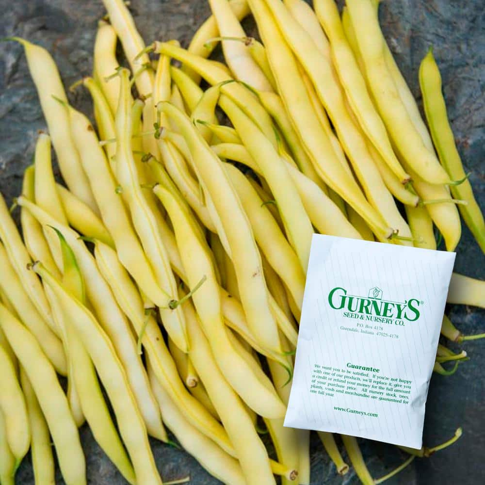 Gurney's 0.5 lb. Bush Bean Improved Golden Wax (Seed Packet)