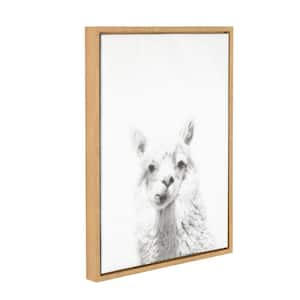 24 in. x 18 in. "Alpaca Portrait" by Tai Prints Framed Canvas Wall Art