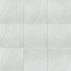 https://images.thdstatic.com/productImages/81fa4cb6-f8f7-44d1-b882-846bdd90a185/svn/kolasus-white-polished-msi-porcelain-tile-nhdkolwhi2424p-64_145.jpg