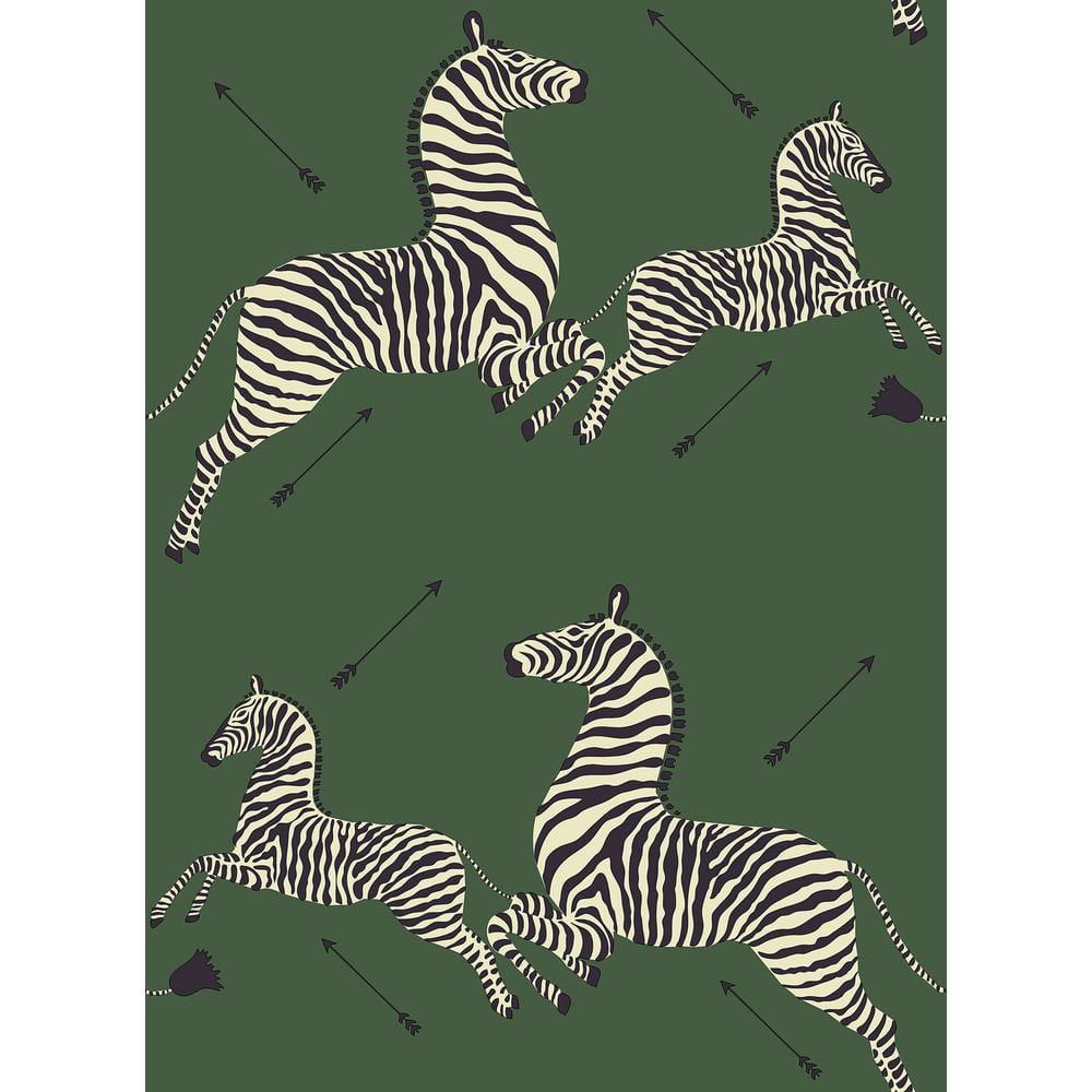 Zebra Hot Pink Wallpapers  Zebra Aesthetic Wallpaper for iPhone
