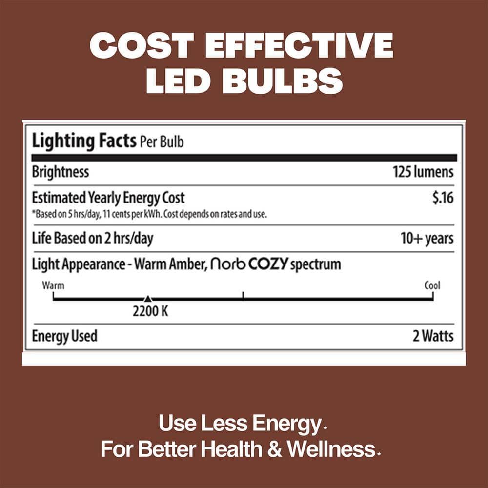 Clear Plastic LED String Light Replacement Bulbs, 10-Pack