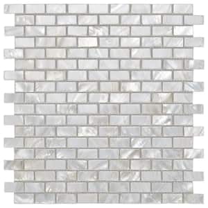 1 Sheet White 11.8 in. x 11.8 in. Mosaic Glossy Natural Seashell (0.96 sq. ft./Each)