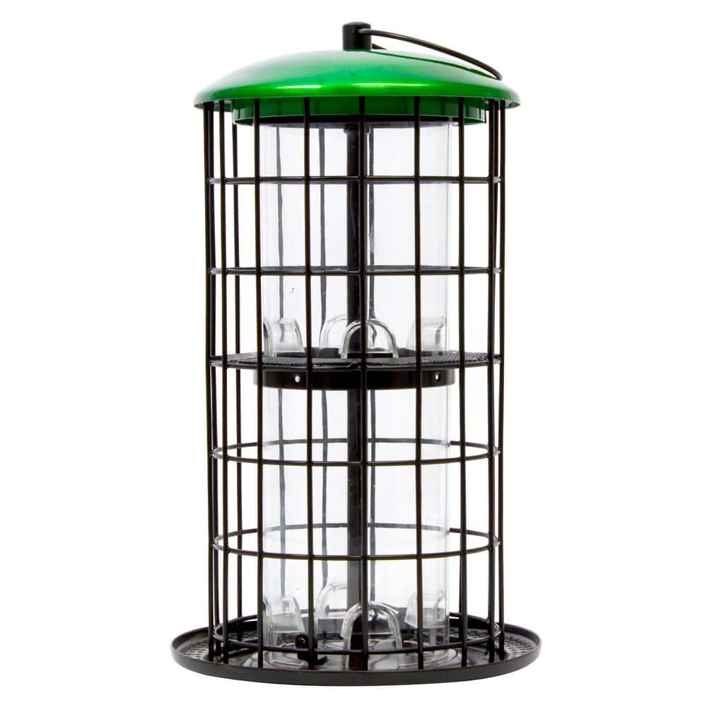 Green and Black Metal Squirrel Resistant Hanging Bird Feeder