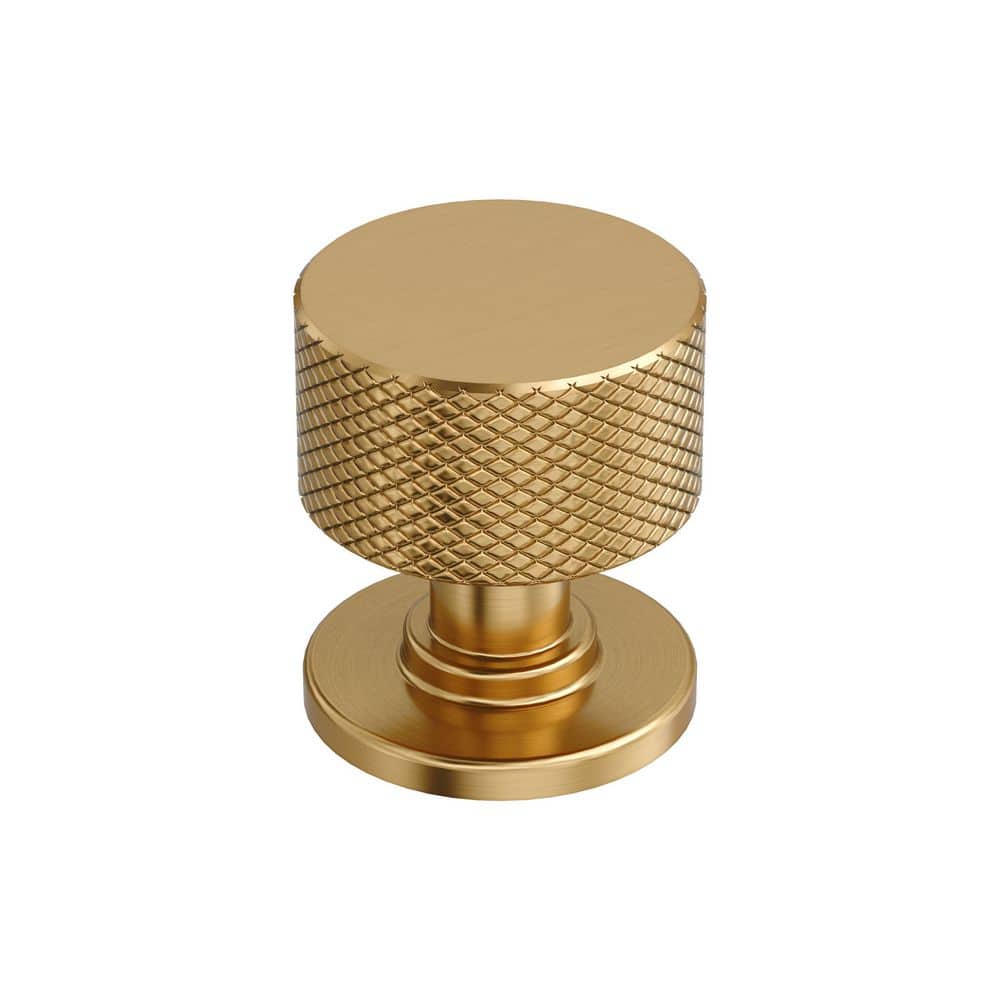 Balata 1-1/8 in. (29mm) Diameter Champagne Bronze Classic Round Cabinet Knob price history on PriceWatchPro
