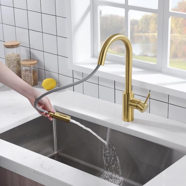 Ultra Faucets Euro Modern Single-Handle Pull-Down Sprayer Kitchen Faucet  with Accessories in Rust and Spot Resist in Brushed Gold UF14908 - The Home  Depot