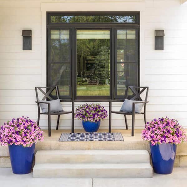 4.25 in. Grande Supertunia Vista Bubblegum (Petunia) Annual Live Plant with Bright Pink Flowers (4-Pack)