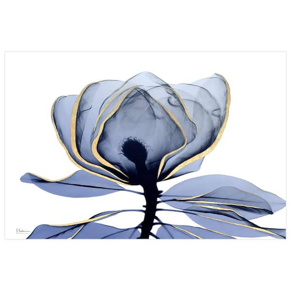 Midnight Lilies 4 Pieces Collection Abstract Navy and Gold Floral Modern sale Décor Wall Art Print With Floating Frames