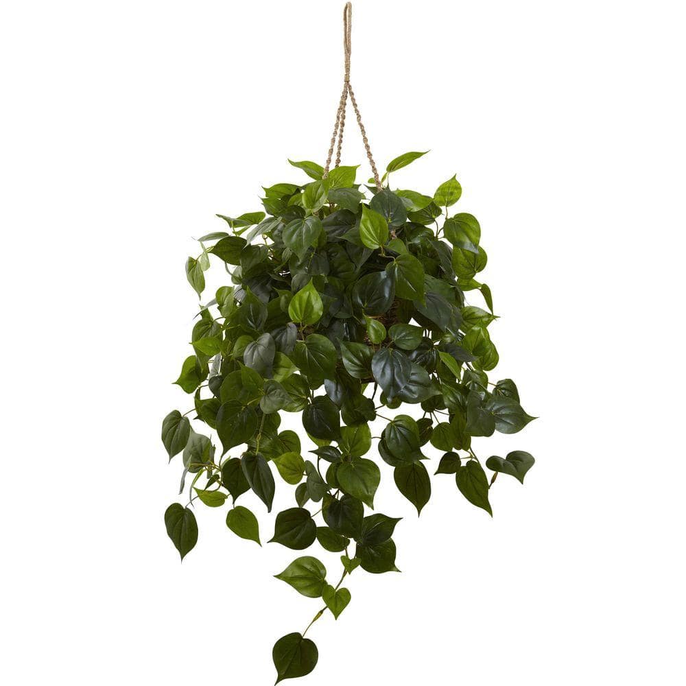 Outdoor UV Resistant Philodendron Hanging Basket