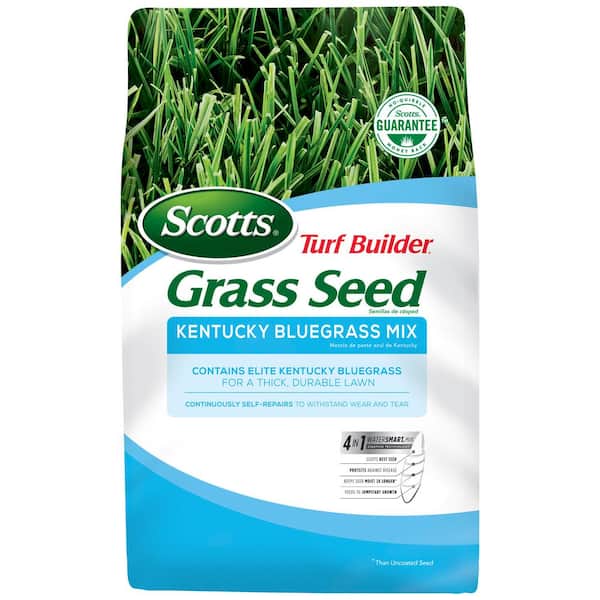 Scotts Turf Builder 3 lbs. Grass Seed Kentucky Bluegrass Mix Continuously Self-Repairs to Withstand Wear and Tear