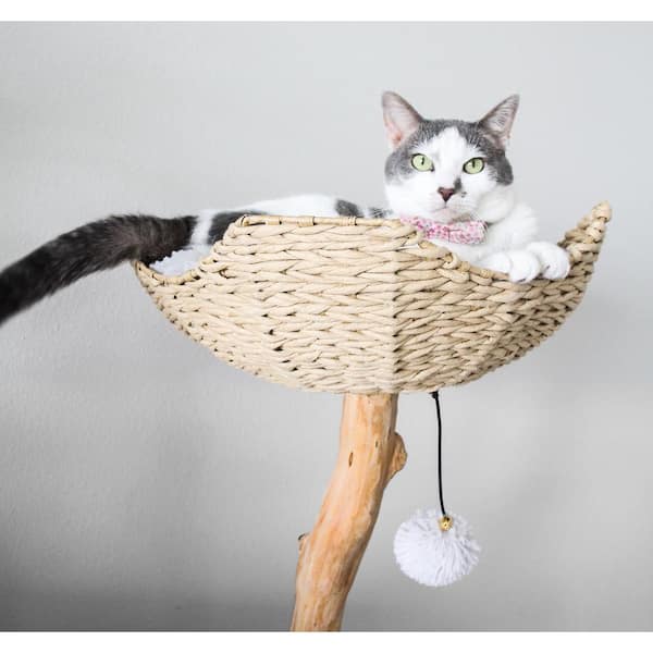 Cat basket clearance tree