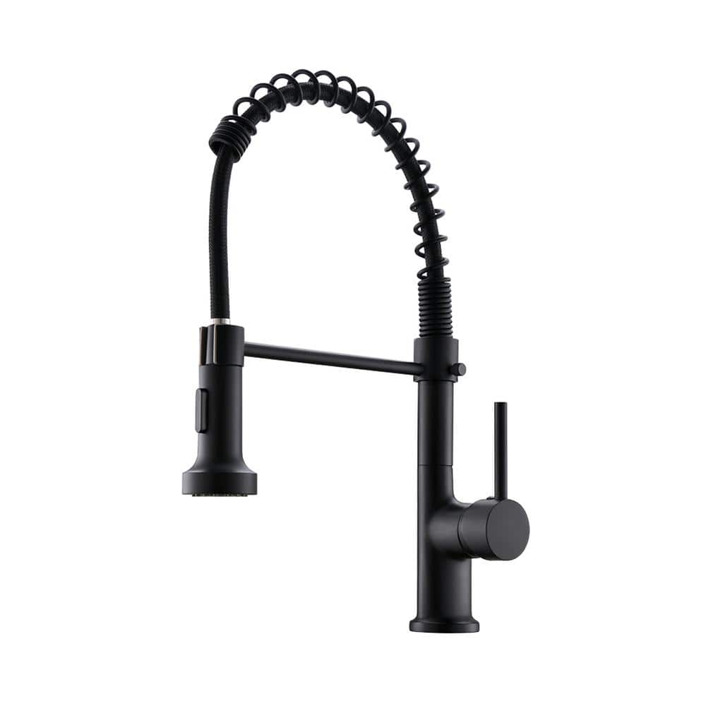 Single Handle Pull-Down Sprayer Kitchen Faucet with Dual Function Spray Hea