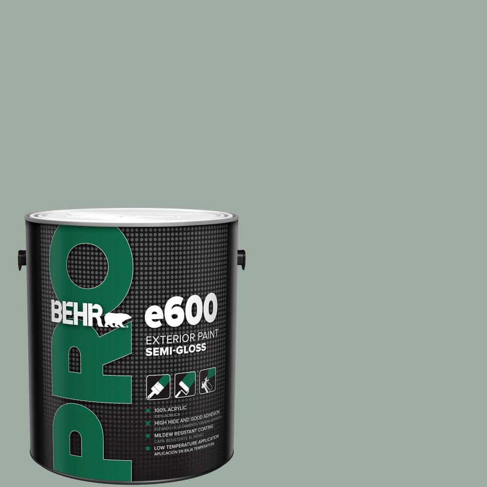1 gal. #N420-3 Misty Moss Semi-Gloss Exterior Paint price history on PriceWatchPro