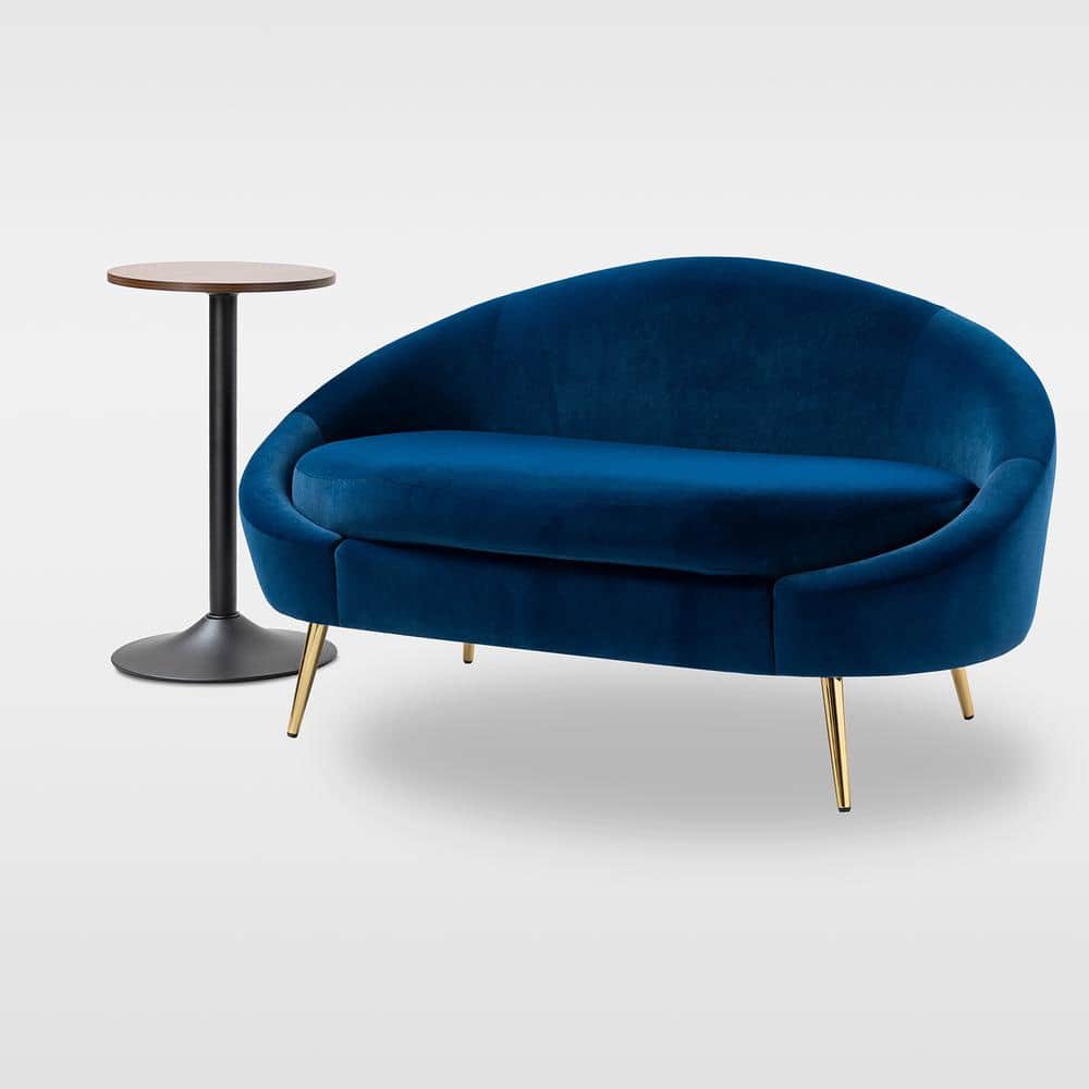 JAYDEN CREATION God 2Piece Navy Modern Velvet Living Room Set with