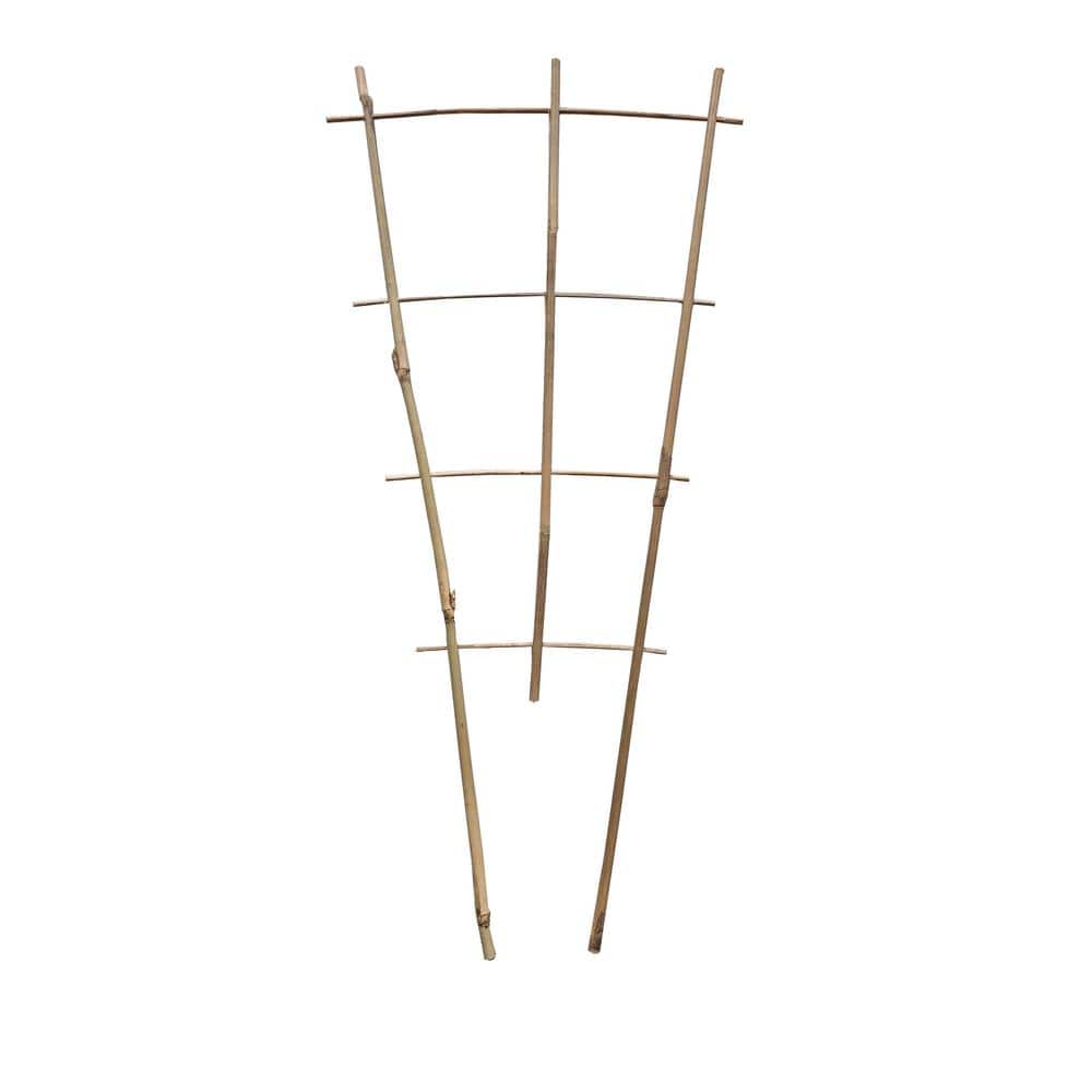 MGP 18 in. H Bamboo Ladder Trellis (Set of 5) BLT-18-5 - The Home Depot