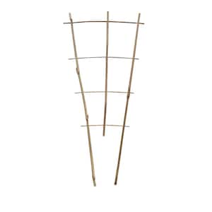 18 in. H Bamboo Ladder Trellis (Set of 5)