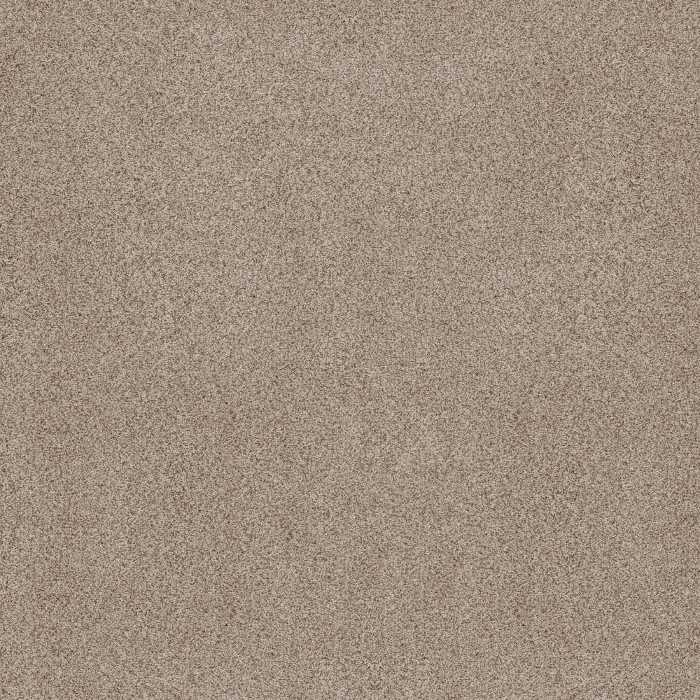 8 in. x 8 in. Texture Carpet Sample - Sand Dunes II - Color Malt price history on PriceWatchPro