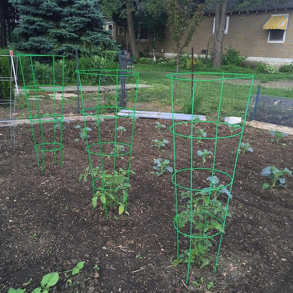 54 in. Heavy-Duty Green Tomato Cage