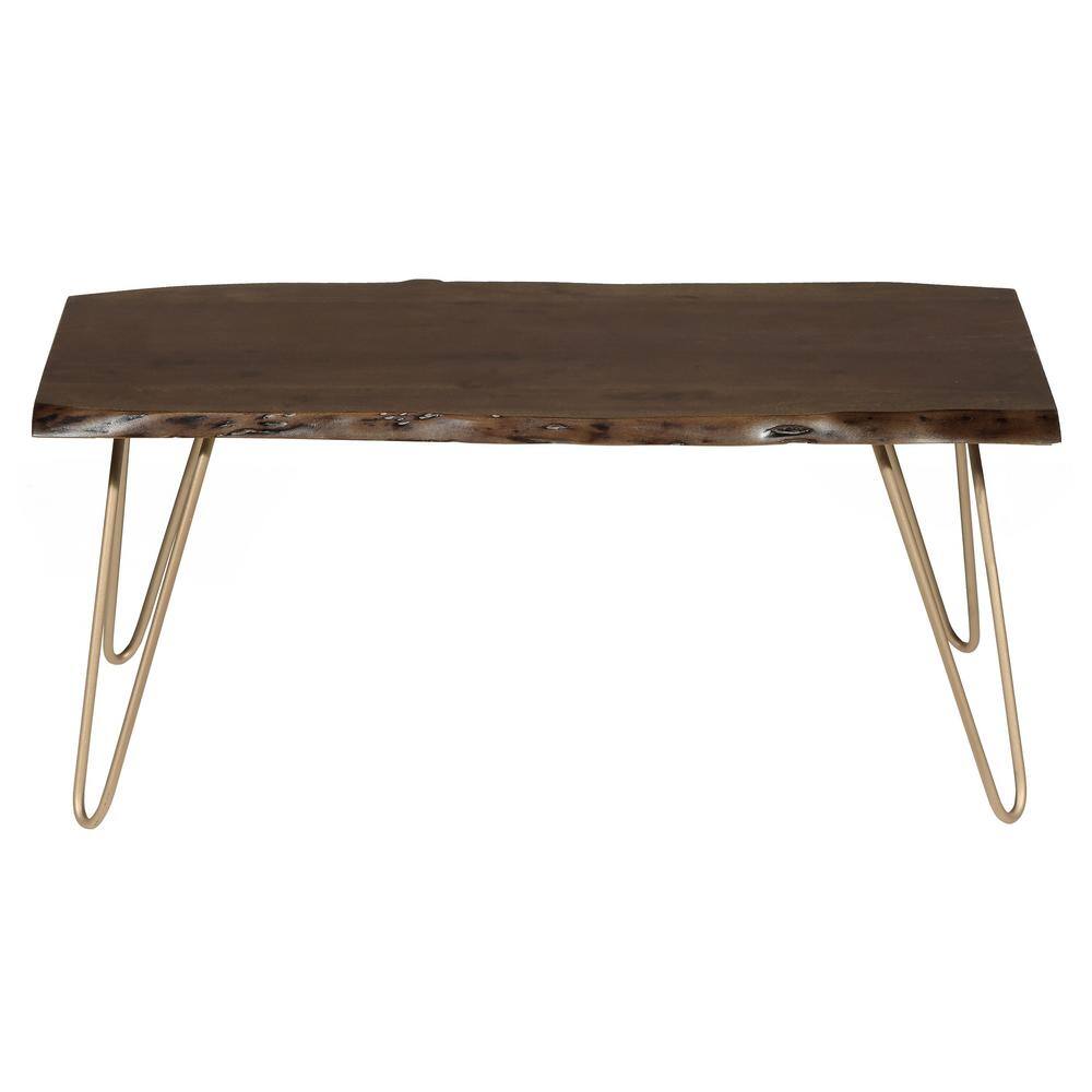 Seti Acacia Live Edge Rectangular Coffee Table in Elm and Gold