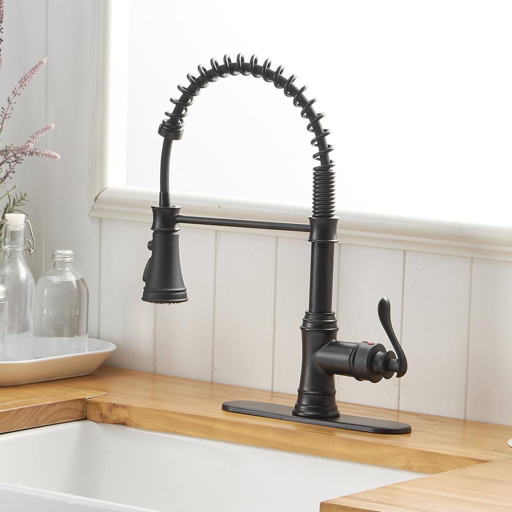 Matte Black Pull-Down Kitchen Faucet with Pull-out Spray