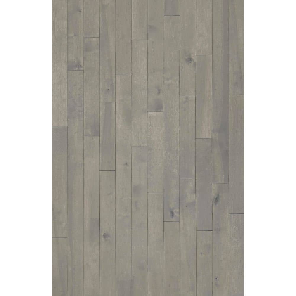 Canadian Birch Radisson Greige 3/4 in. x 3-1/4 in. W Solid Hardwood Flooring (20 sq. ft. /Case) price history on PriceWatchPro