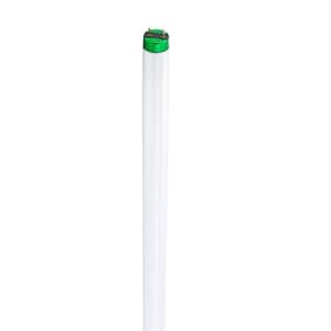 25-Watt 3 ft. Linear T8 Fluorescent Light Bulb Cool White (4100K) Alto II (30-Pack)