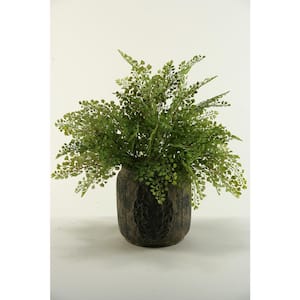 Artificial Indoor Flat Iron Fern in Ceramic Planter