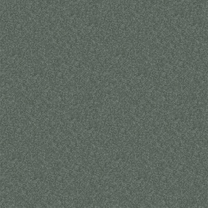 Watercolors II - Lagoon - Blue 38.4 oz. Polyester Texture Installed Carpet