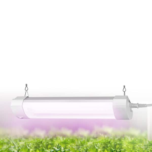Luces Exterior LED RGBW 5W WiFi Gardenspot - efectoLED