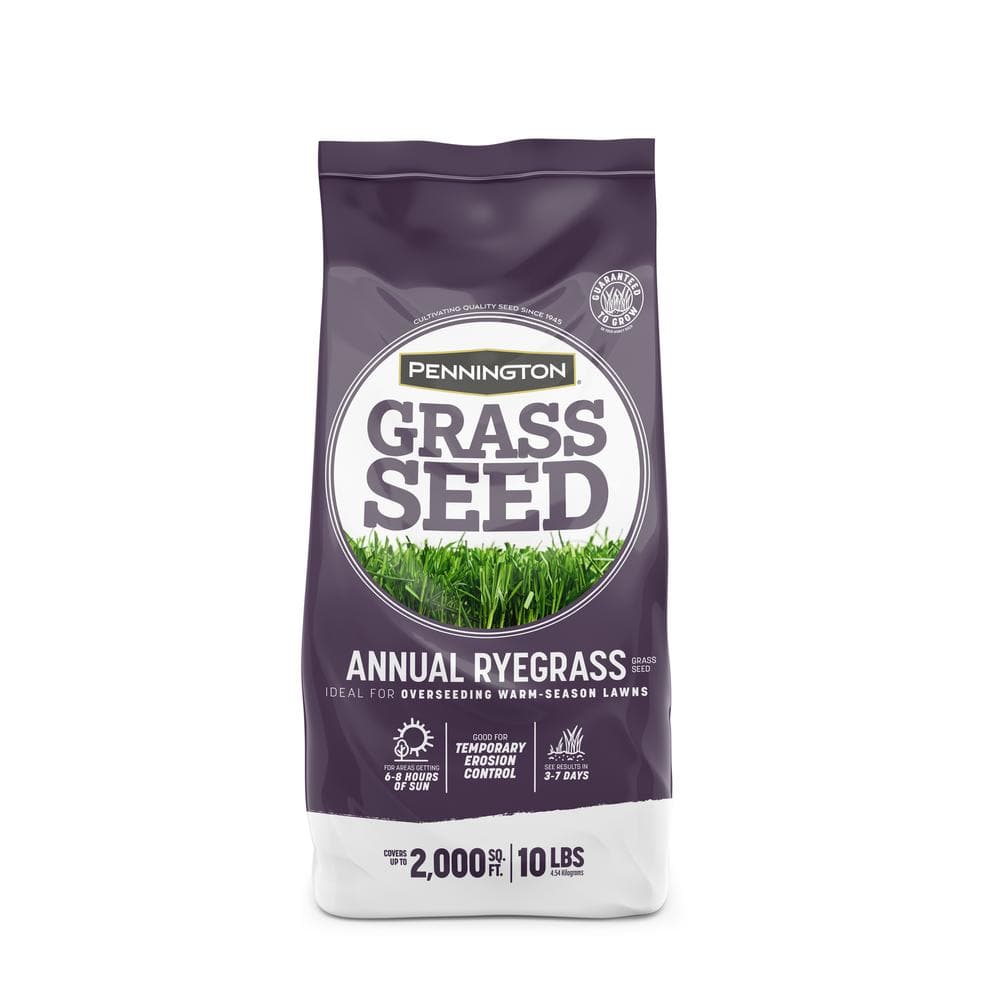 Pennington Annual Ryegrass Grass Seed  10lb  Full Sun to Partial Shade  1 Bag