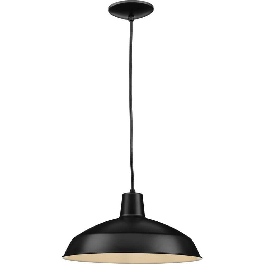 Matte Black Glass Indoor/Outdoor Pendant Light, 16" Wide
