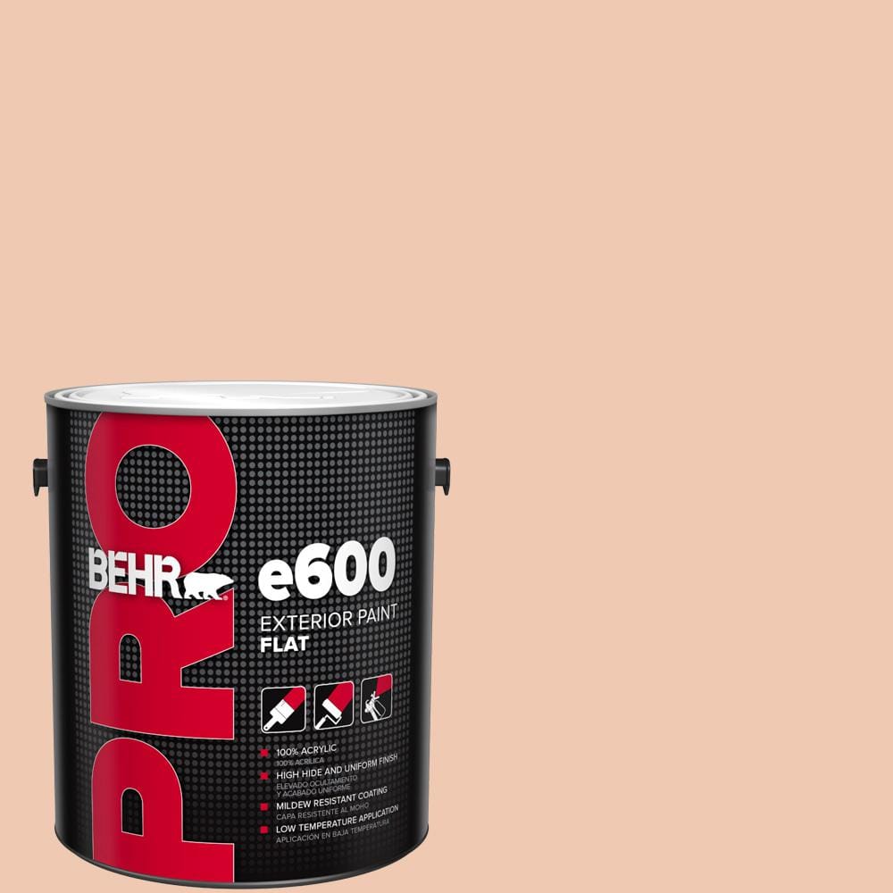 1 gal. #240E-2 Peach Bud Flat Paint price history on PriceWatchPro