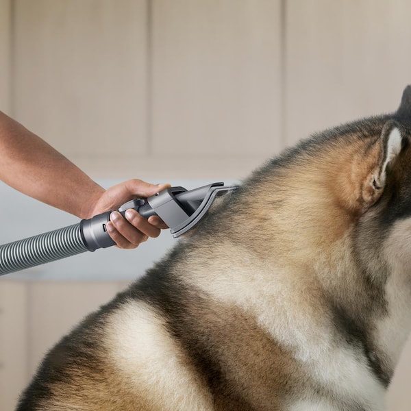 お手入れ・トリミング用品 Dyson pet grooming kit PN-972205-01 Pet grooming kit | Dyson