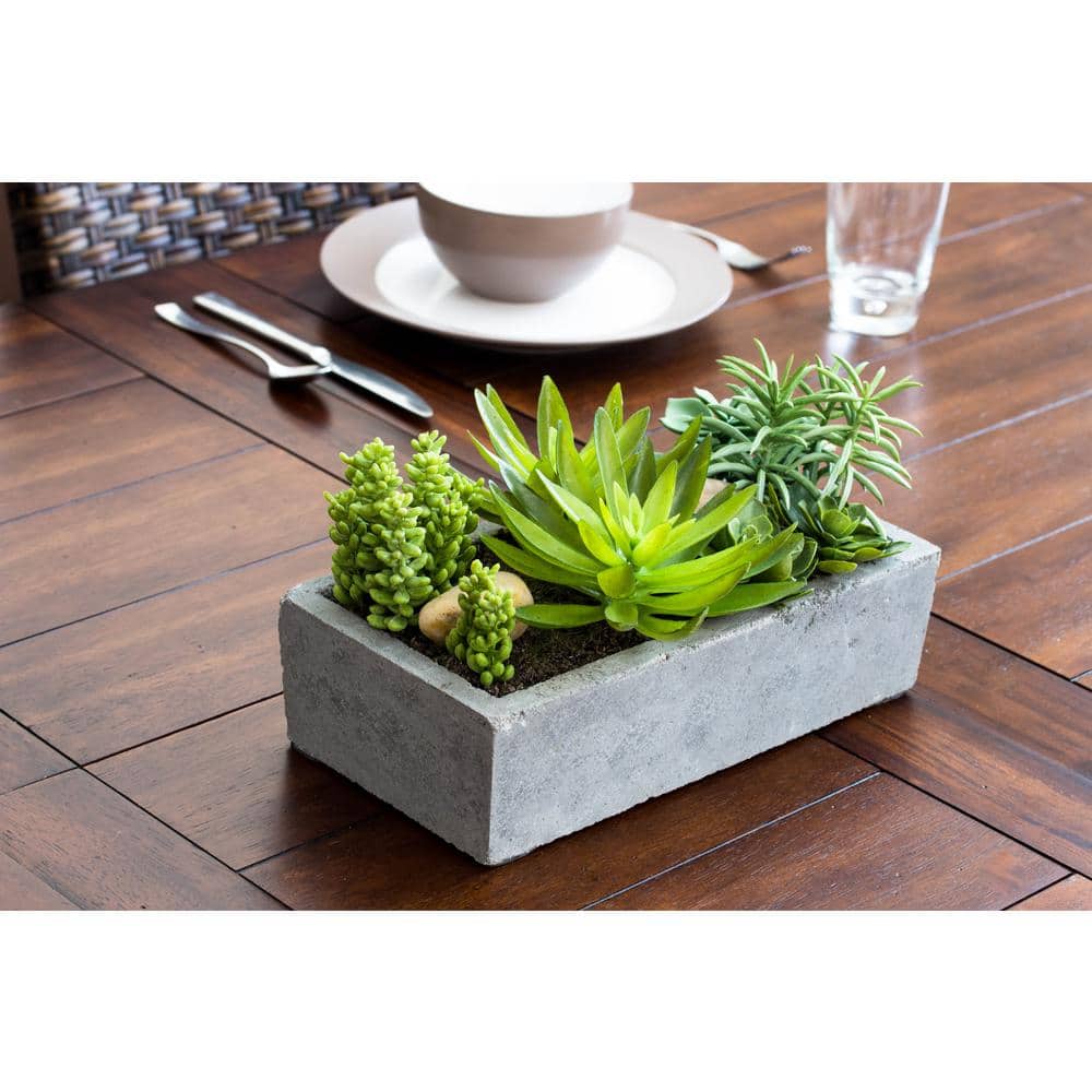 Decorative Outdoor Tabletop Succulent Ensemble in Cement Planter