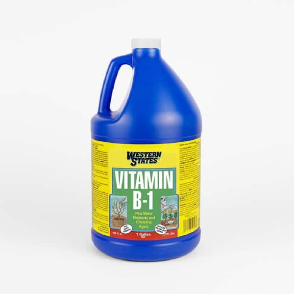 Western States 1 Gal. Vitamin B-1 Liquid Fertilizer