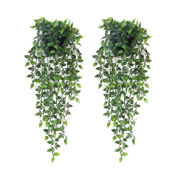 2-Pack Black Plastic Mandala Vines Hanging Plants with Wall Planter for Indoor Outdoor Garden Patio Office Decor