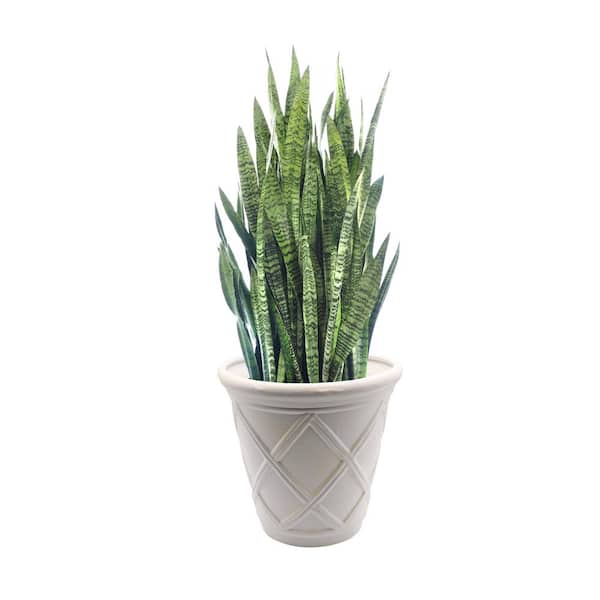 tierra firme DESIGN 16 in. Dia x 15 in. H White Ceramic Lattice Planter