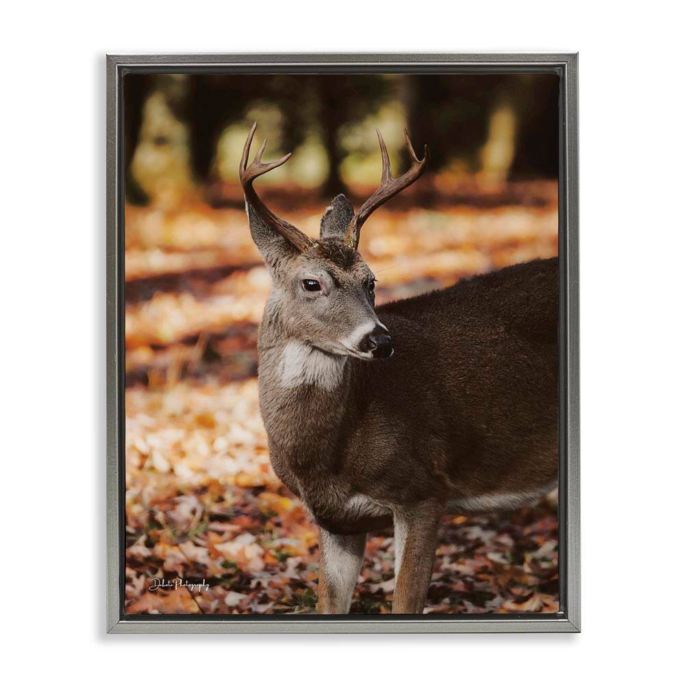 Deer in Fall Foliage by Dakota Diener Gray Floater Frame Graphic Animal Art Print 31 in. x 25 in. price history on PriceWatchPro